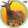 2024-11-20 10:00 19 Chivo