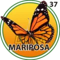 2024-07-26 09:00 37 Mariposa
