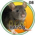 2024-11-20 12:00 8 Ratón