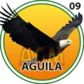 2024-07-26 17:00 9 águila