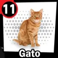 2024-09-06 10:00 11 Gato