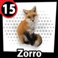 2024-07-26 14:00 15 Zorro