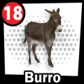 2024-11-20 12:00 18 Burro