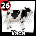 2024-07-26 17:00 26 Vaca
