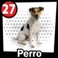 2024-09-07 14:00 27 Perro