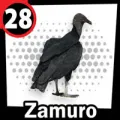 2024-09-06 14:00 28 Zamuro