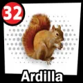 2024-11-20 17:00 32 Ardilla