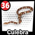 2024-09-07 12:00 36 Culebra