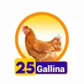 2024-07-27 10:00 25 Gallina