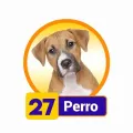 2024-11-20 19:00 27 Perro