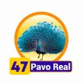 2024-07-26 13:00 47 Pavo Real
