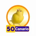 2025-01-21 18:00 50 Canario