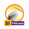 2024-07-27 09:00 51 Pelicano