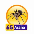 2024-11-20 17:00 65 Araña