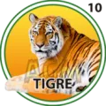 2024-09-27 13:30 10 Tigre