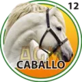 2024-11-20 18:30 12 Caballo