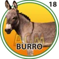 2024-09-26 09:30 18 Burro