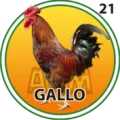 2024-09-27 10:30 21 Gallo