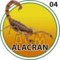 2024-09-26 11:30 4 Alacrán