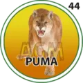 2024-09-26 13:30 44 Puma