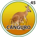 2024-07-26 09:30 45 Canguro
