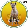 2024-09-26 17:30 49 Hiena