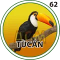 2024-07-26 20:30 62 Tucán