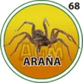 2024-09-27 09:30 68 Araña