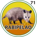 2024-09-27 17:30 71 Rabipelao