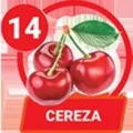 2024-11-20 09:00 14 Cereza