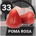 2024-11-20 18:00 33 Poma Rosa