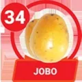 2024-11-20 12:00 34 Jobo