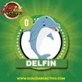 2024-11-20 14:00 0 Delfín