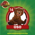 2024-11-20 12:00 16 Oso