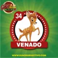 2024-11-20 17:00 34 Venado