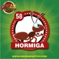 2024-11-20 16:00 58 Hormiga