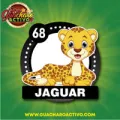 2024-07-26 13:00 68 Jaguar