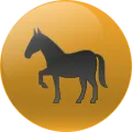 2024-09-07 09:00 12 Caballo