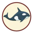 2024-11-20 16:00 00 Ballena