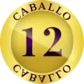 2024-07-26 15:10 12 Caballo