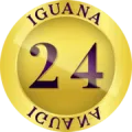 2024-07-26 09:10 24 Iguana