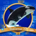 2024-11-20 10:30 00 Ballena