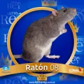 2024-09-06 09:30 8 Ratón