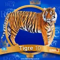 2024-07-26 09:30 10 Tigre