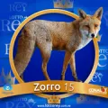 2024-07-26 18:30 15 Zorro