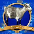 2024-09-07 13:30 19 Chivo