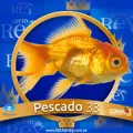 2024-09-07 11:30 33 Pescado