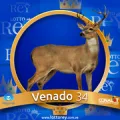 2024-09-07 19:30 34 Venado