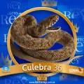 2024-09-07 12:30 36 Culebra