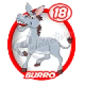 2024-06-15 09:00 18 Burro